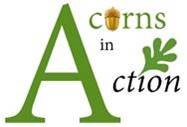 Acorns in Action