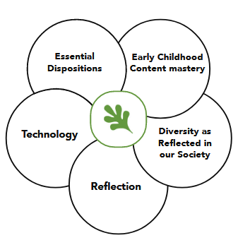 ECE Conceptual Framework